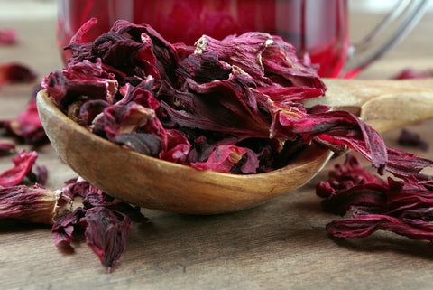 5 Delicious Hibiscus Tea Recipes You’ll Want To Try